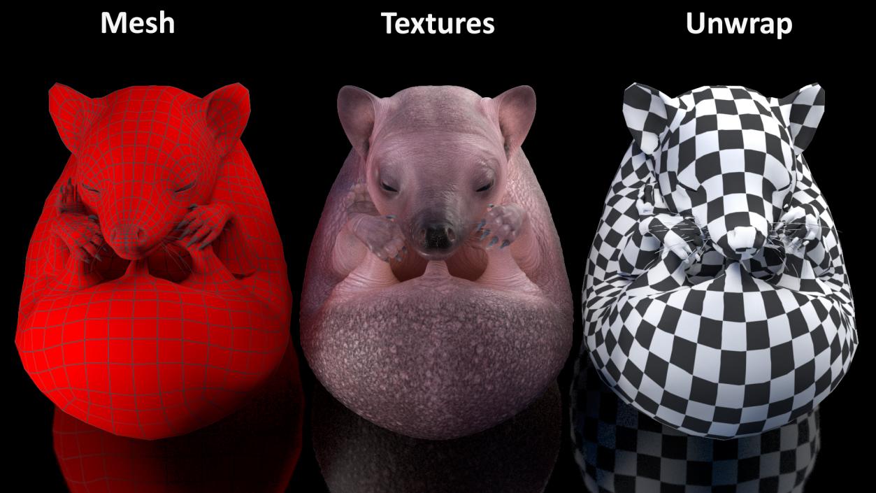 3D Curled Up Bald Hedgehog model