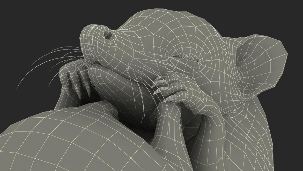 3D Curled Up Bald Hedgehog model