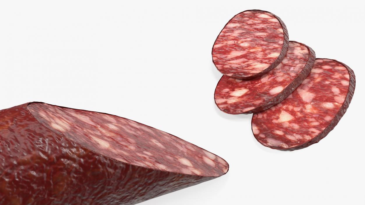 Sliced Salami Stick 3D model