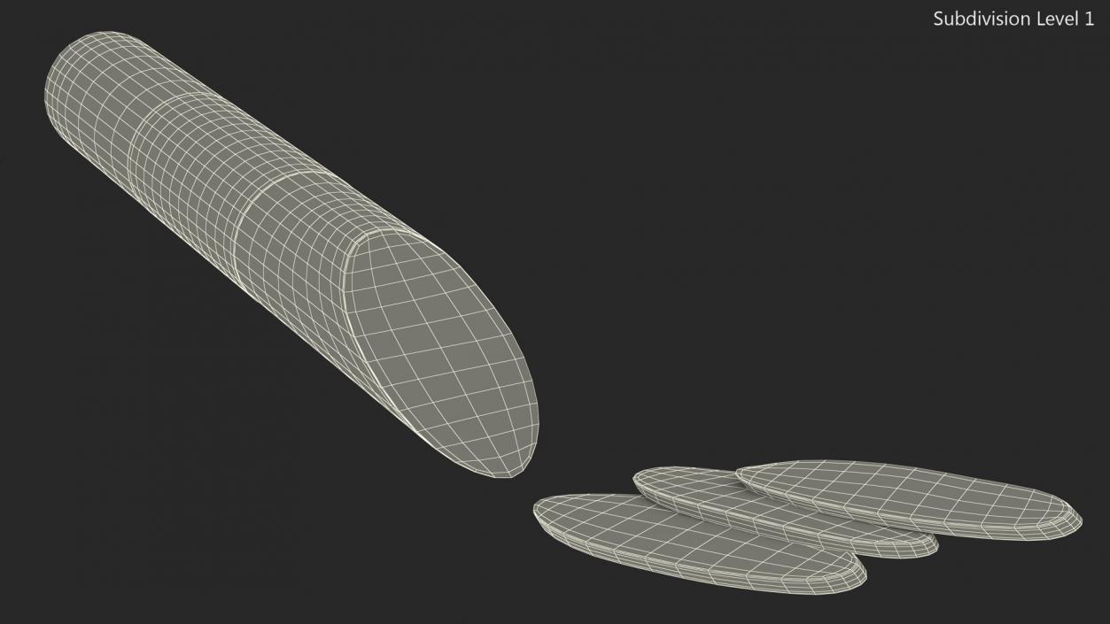 Sliced Salami Stick 3D model