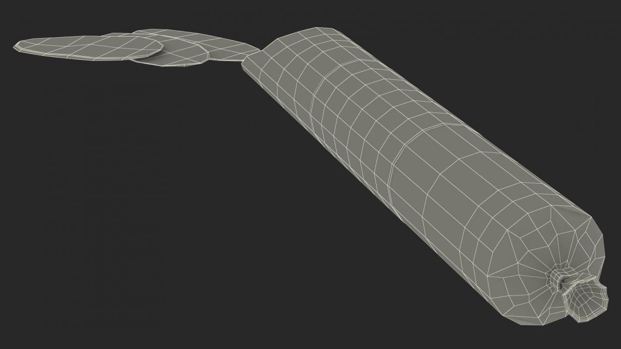 Sliced Salami Stick 3D model