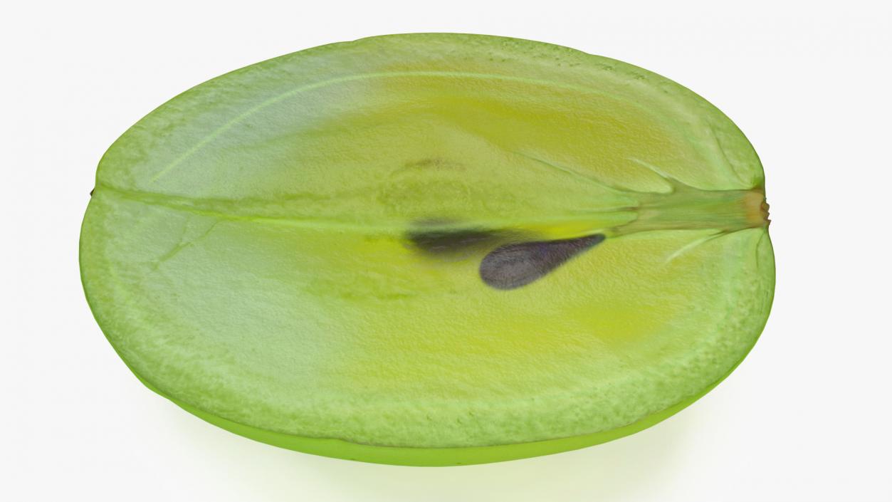 3D Translucent Slice of Green Grape Fruit model