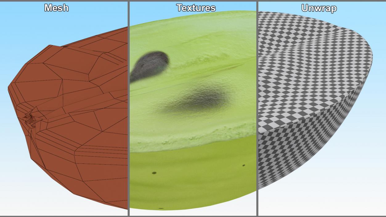 3D Translucent Slice of Green Grape Fruit model