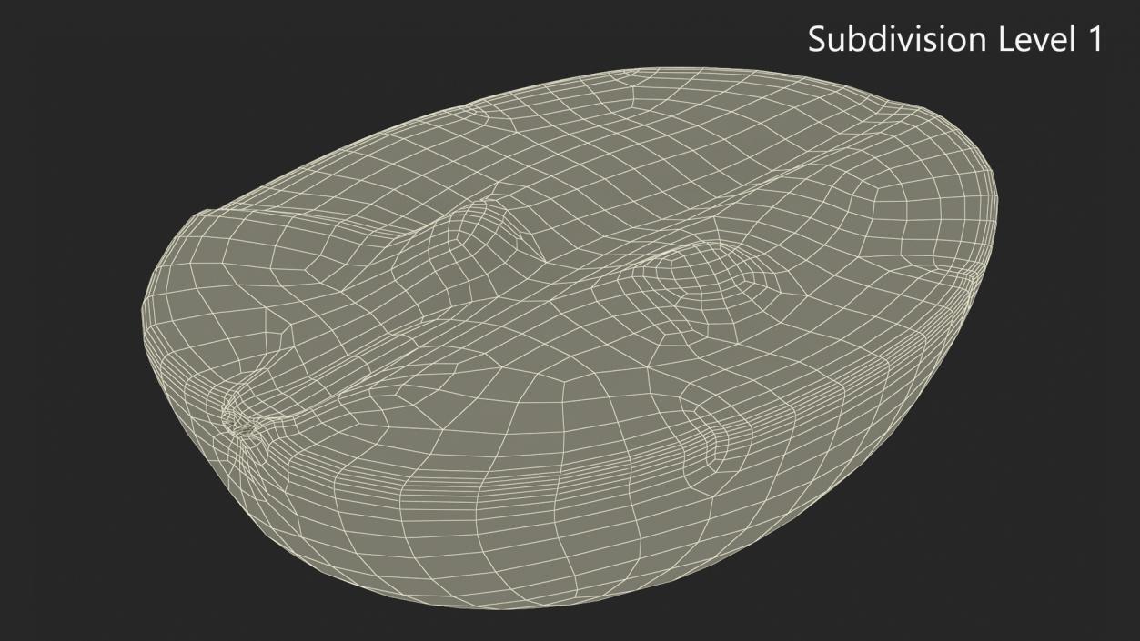 3D Translucent Slice of Green Grape Fruit model