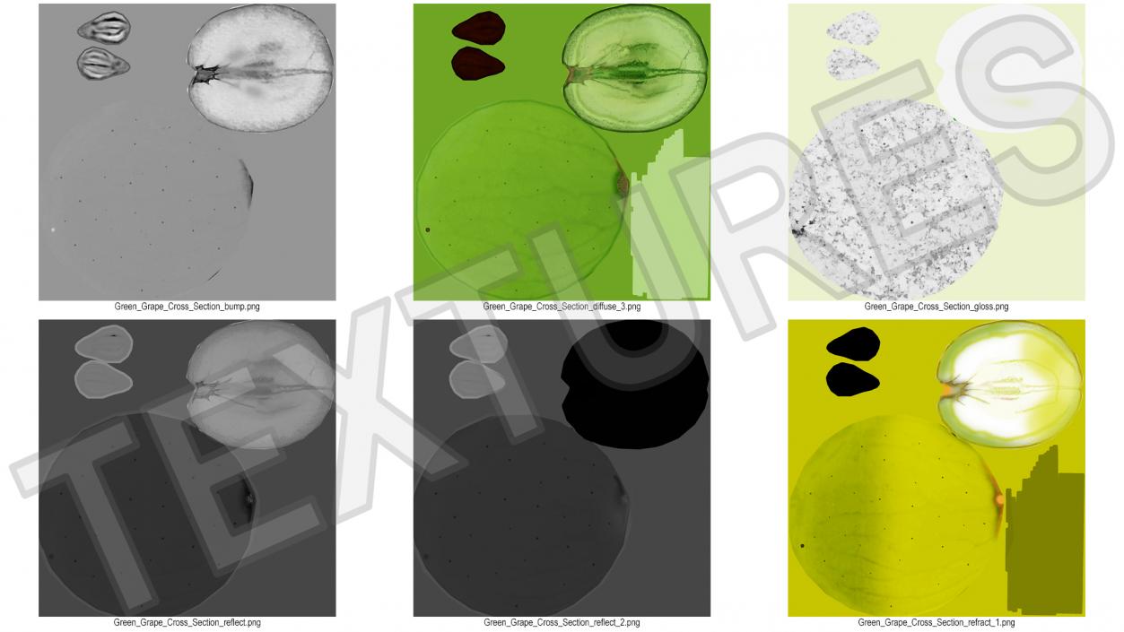 3D Translucent Slice of Green Grape Fruit model