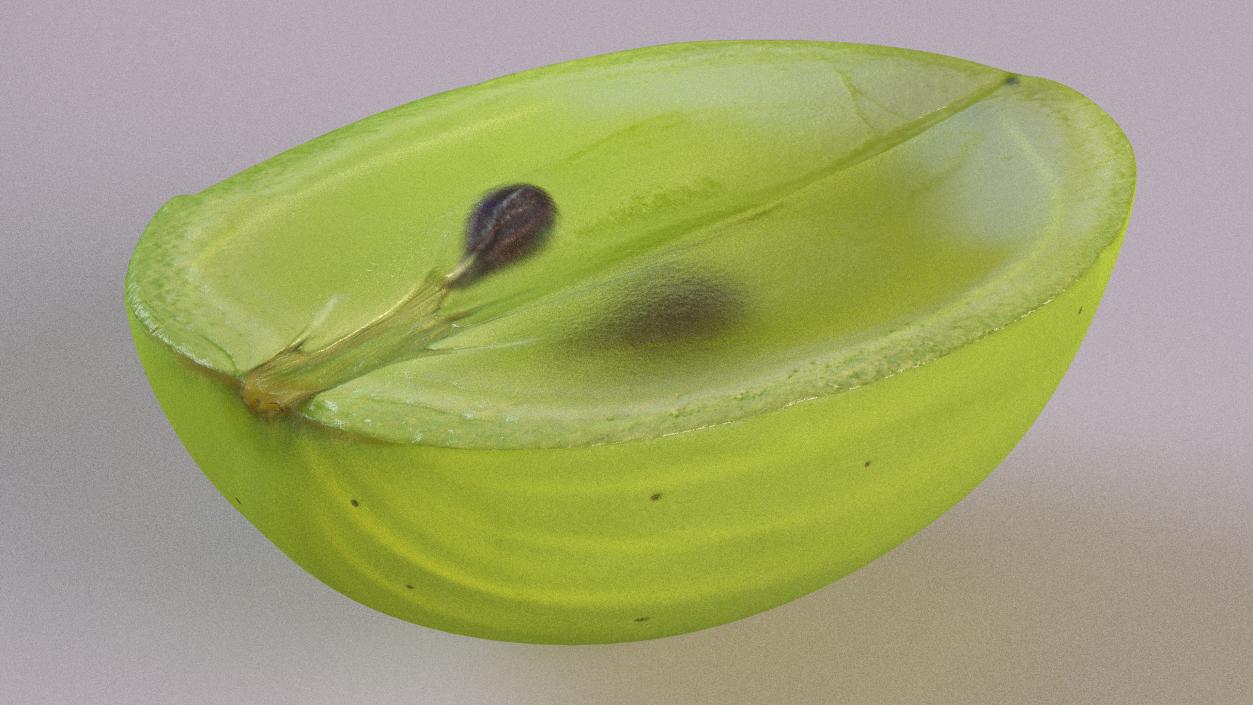 3D Translucent Slice of Green Grape Fruit model