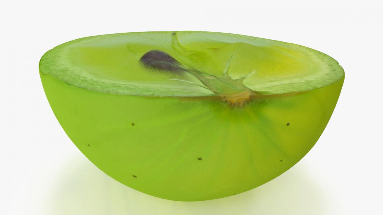 3D Translucent Slice of Green Grape Fruit model