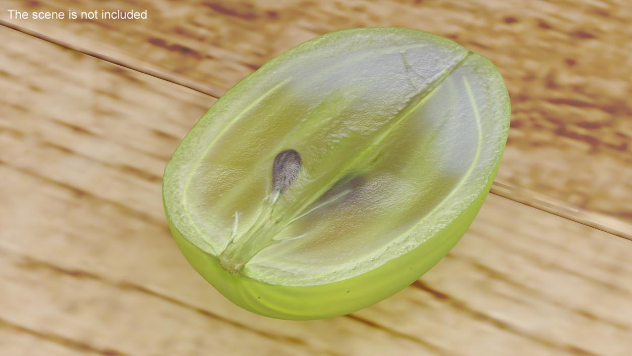 3D Translucent Slice of Green Grape Fruit model