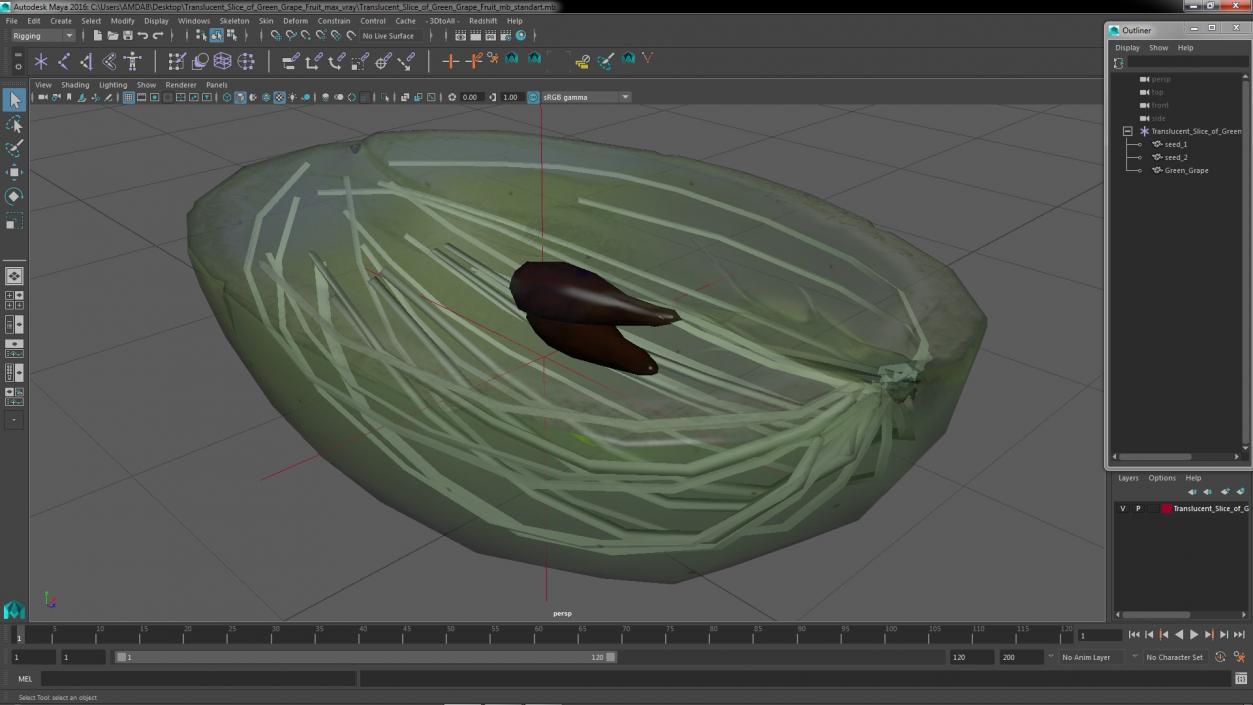 3D Translucent Slice of Green Grape Fruit model