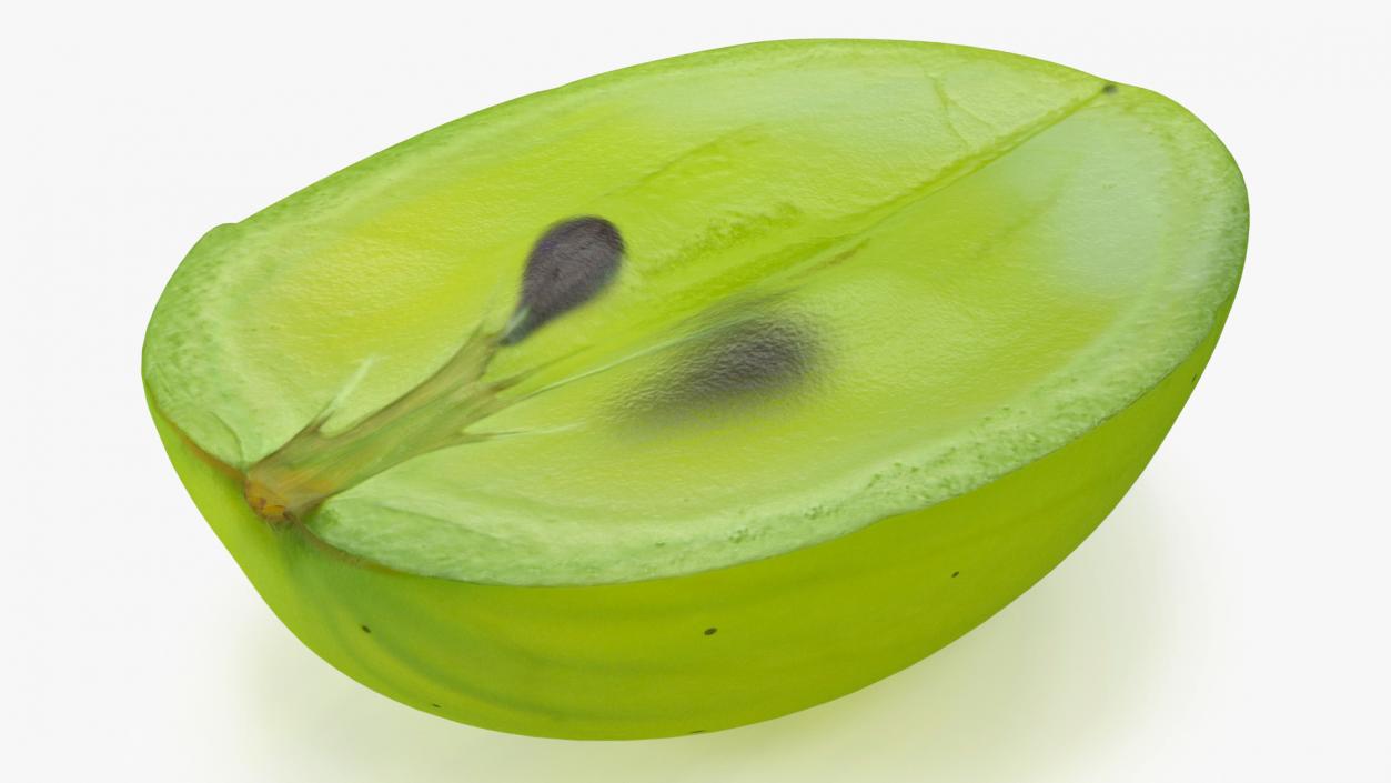 3D Translucent Slice of Green Grape Fruit model