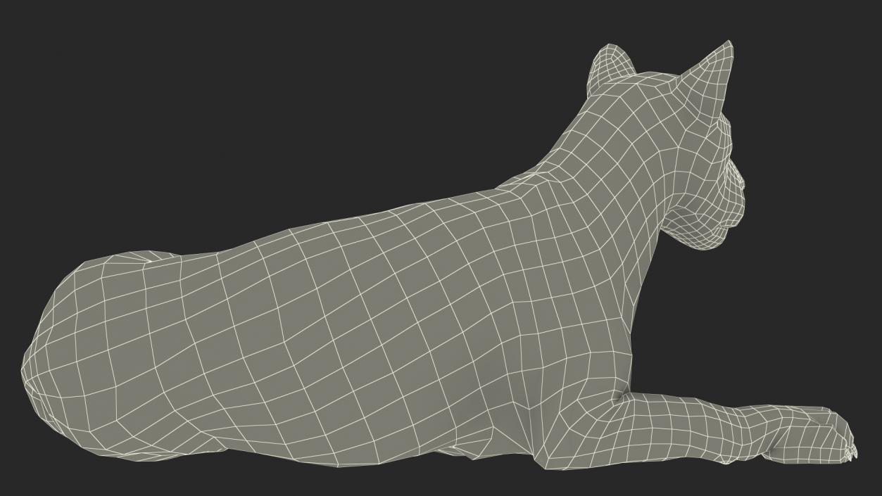 Lion Lying Pose Fur 3D model