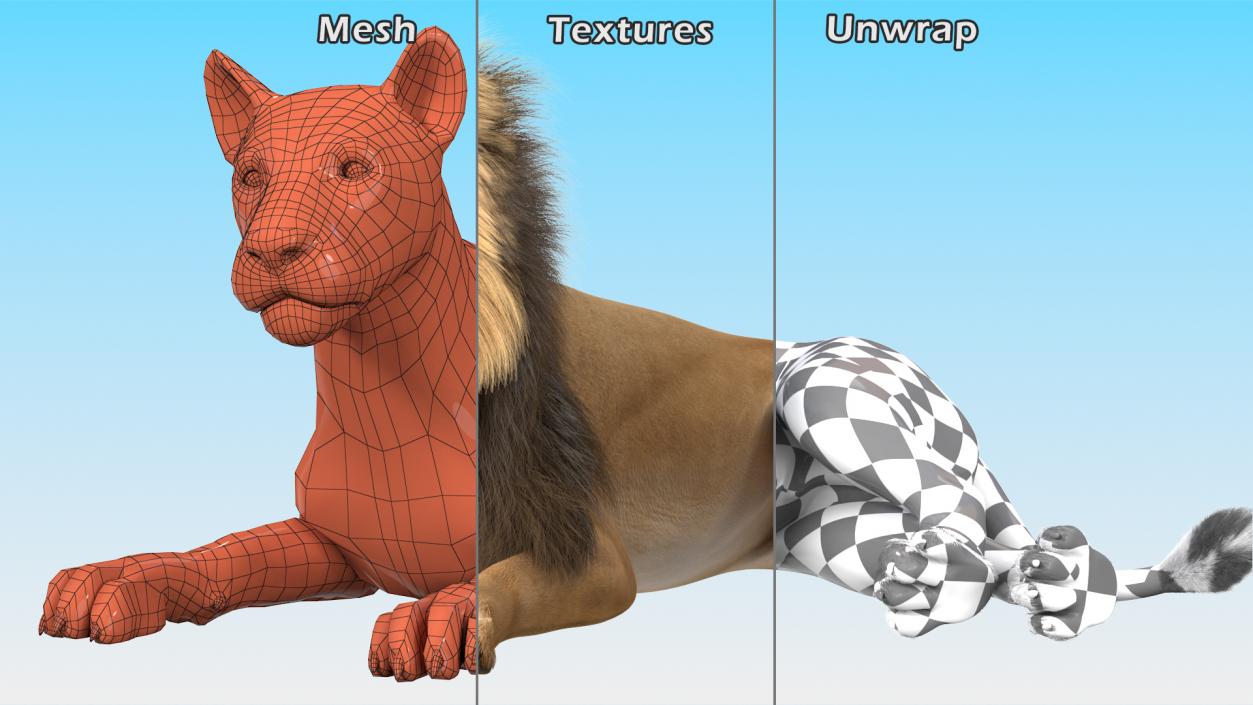 Lion Lying Pose Fur 3D model