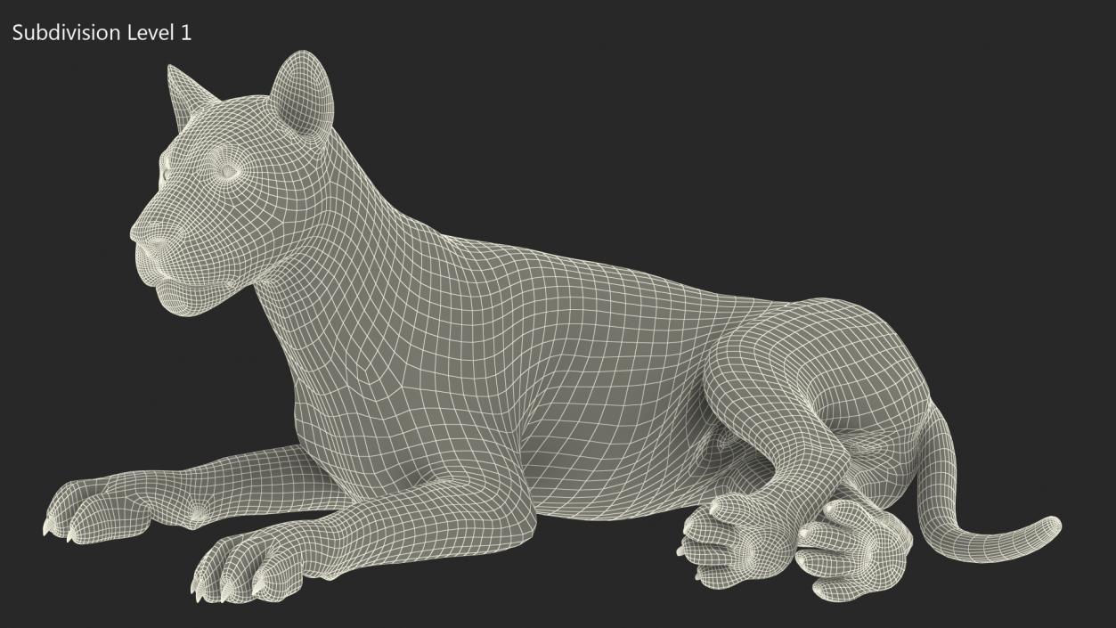 Lion Lying Pose Fur 3D model