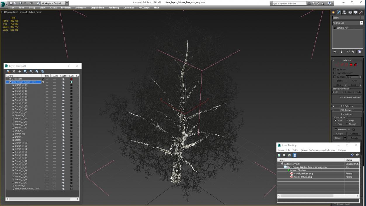 3D Bare Poplar Winter Tree model