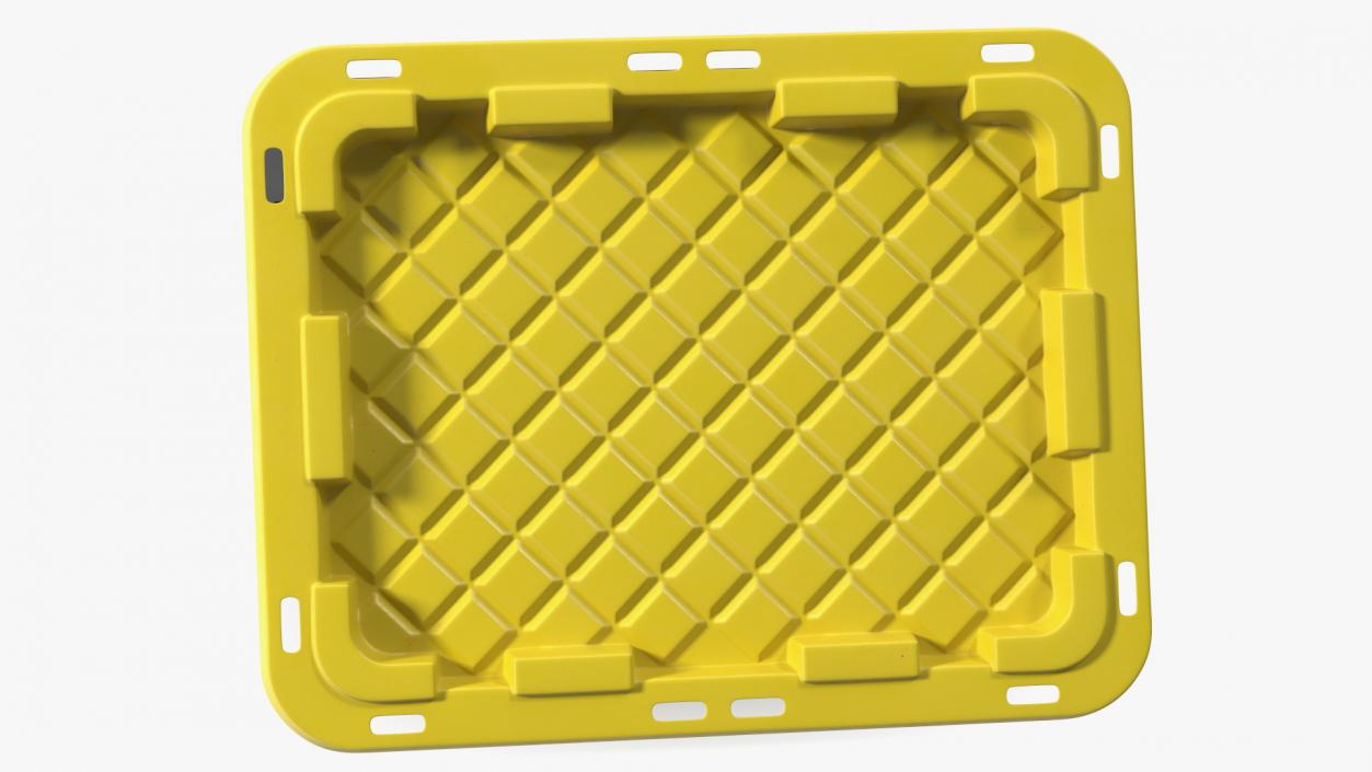 3D Tough Box Storage Tote with Lid