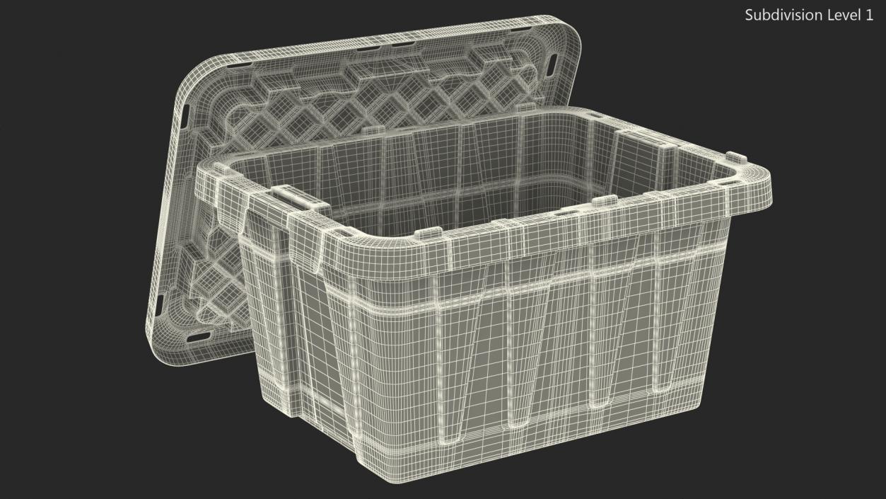 3D Tough Box Storage Tote with Lid