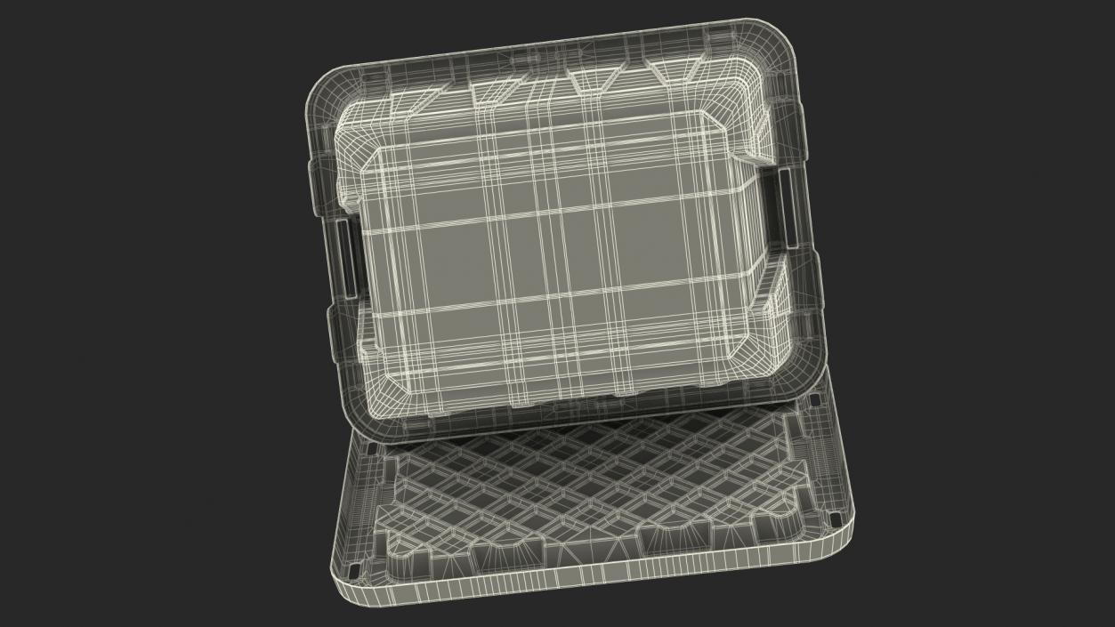 3D Tough Box Storage Tote with Lid