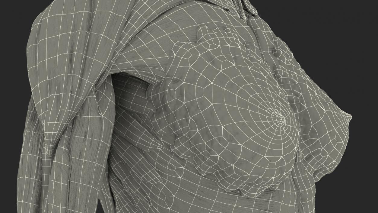 3D model Female Body Anatomy Collection