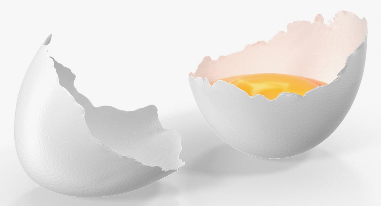 3D Broken White Egg