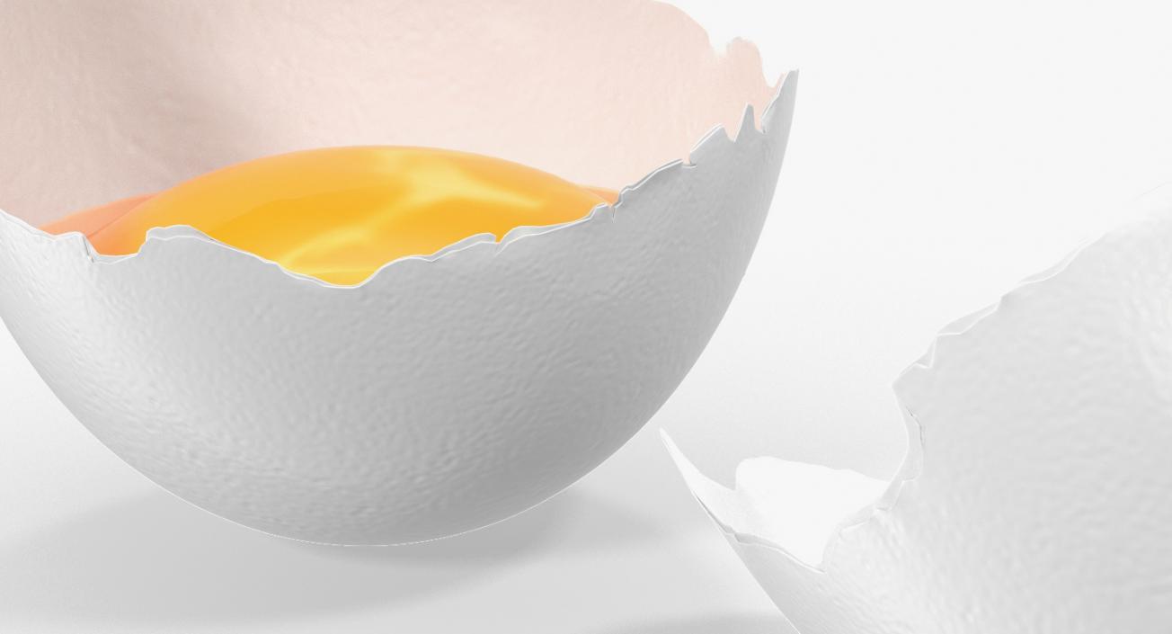 3D Broken White Egg