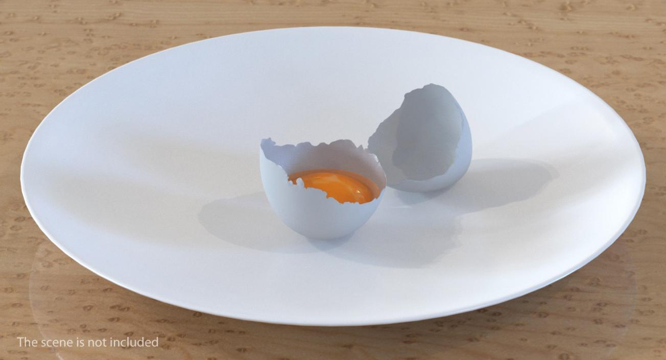 3D Broken White Egg