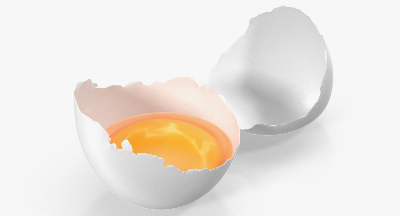 3D Broken White Egg