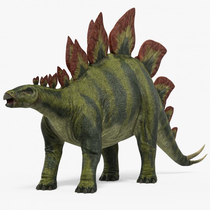 3D model Dinosaurs Collection