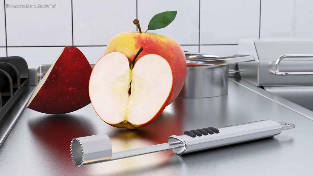 Apple with Stainless Slicers Collection 3D model