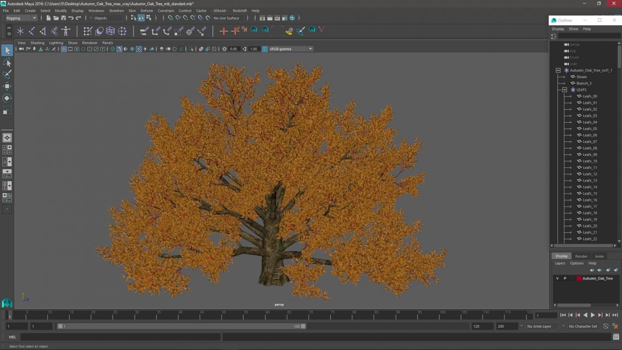 Autumn Oak Tree 3 3D