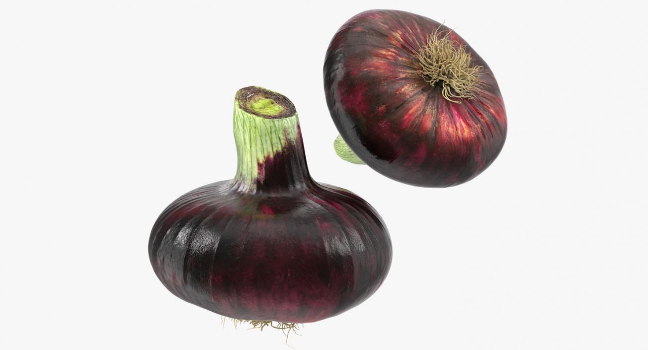 Red Onion 3D model