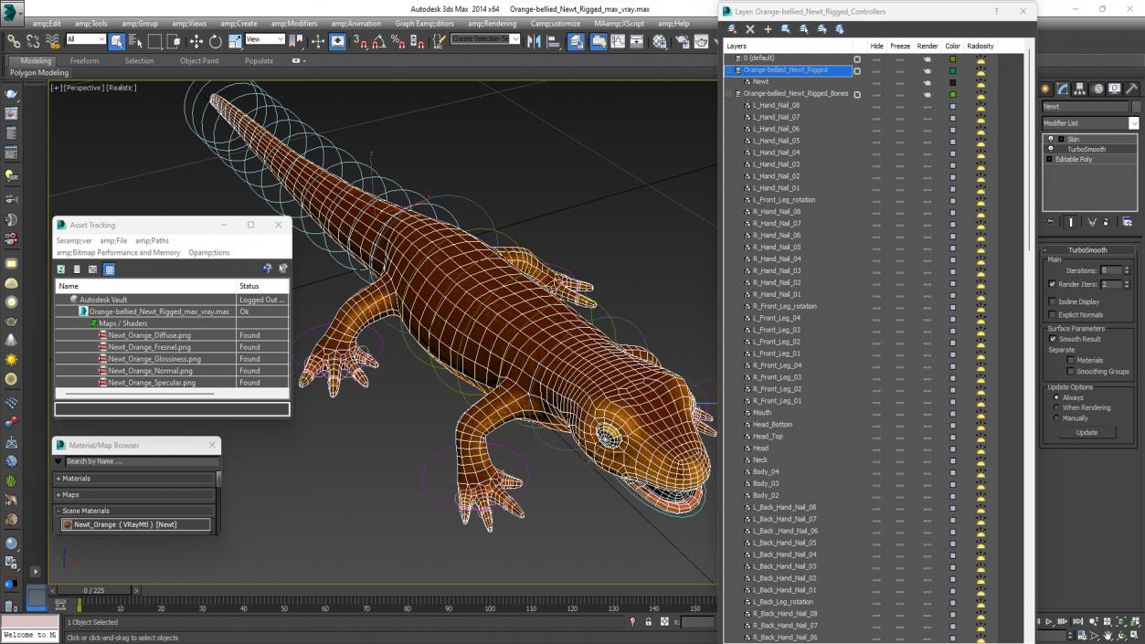 3D Orange-bellied Newt Rigged