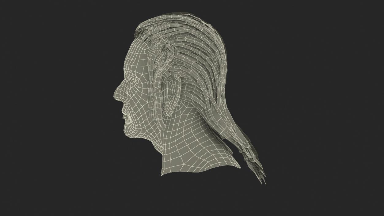 3D model American Indian Head