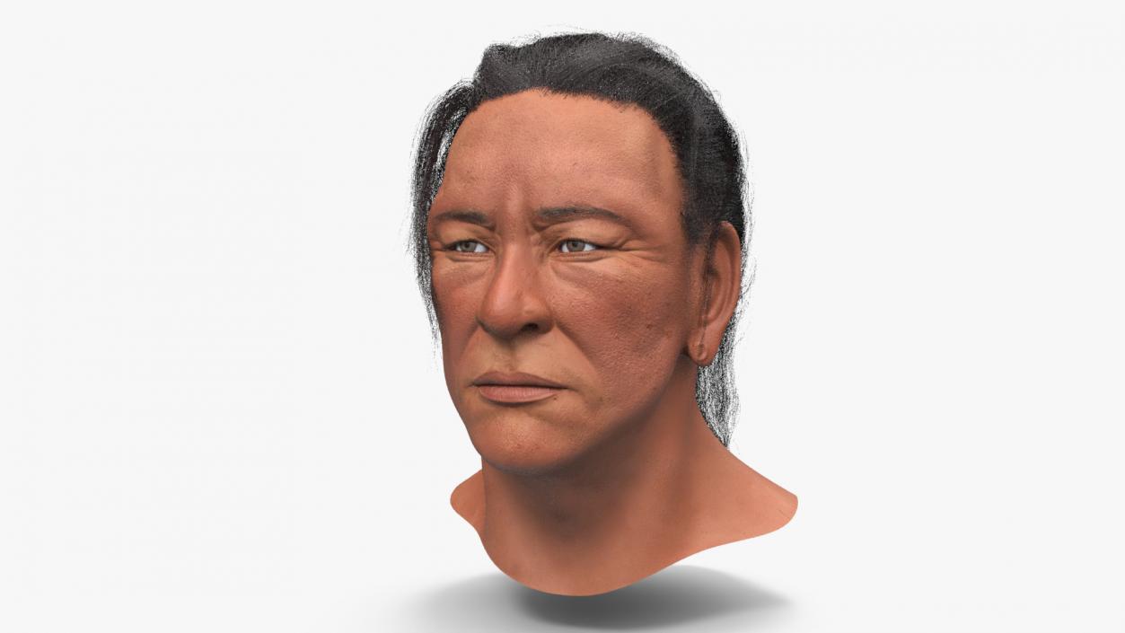 3D model American Indian Head