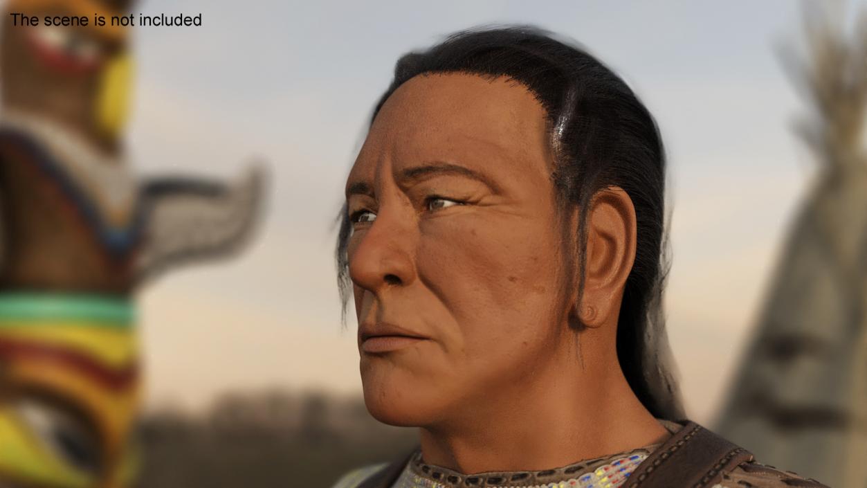 3D model American Indian Head