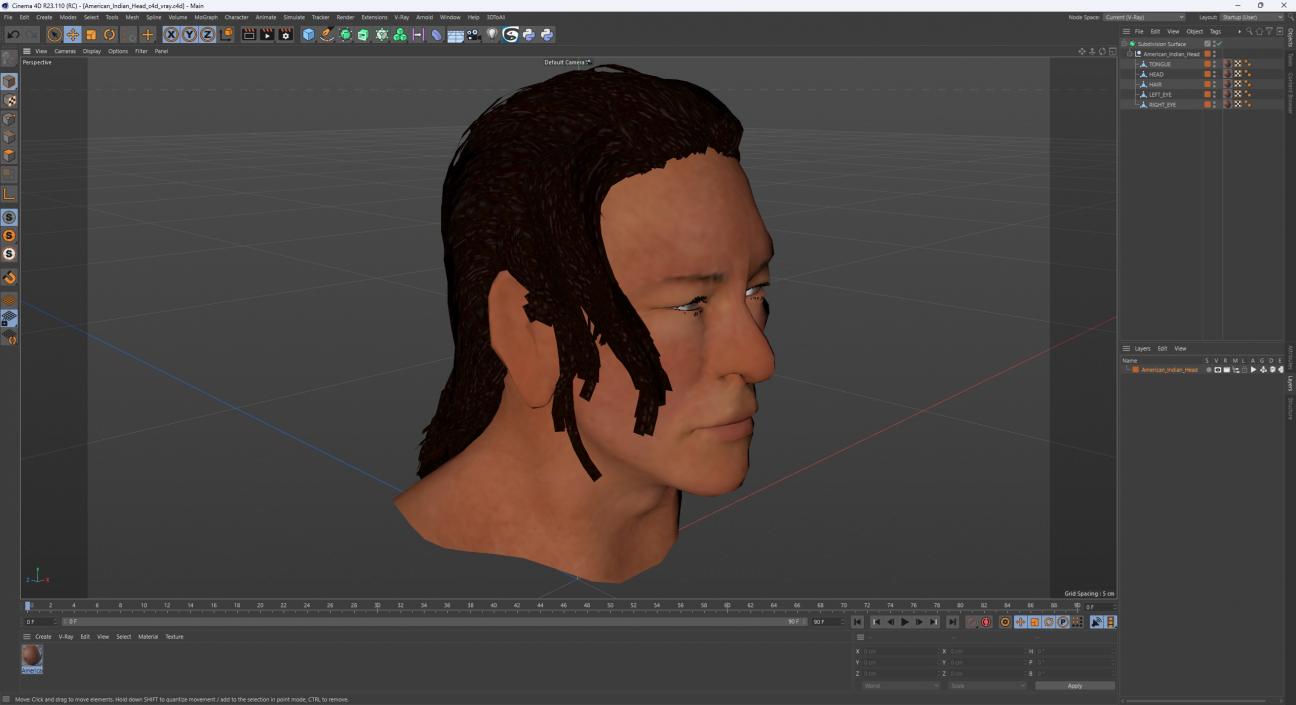 3D model American Indian Head