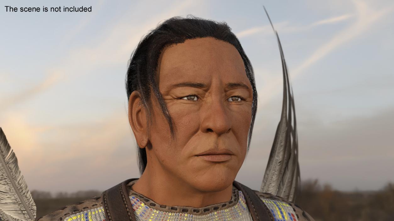 3D model American Indian Head