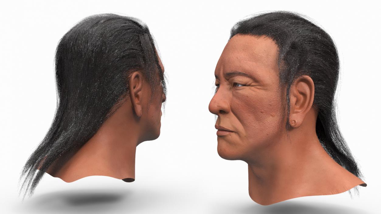 3D model American Indian Head