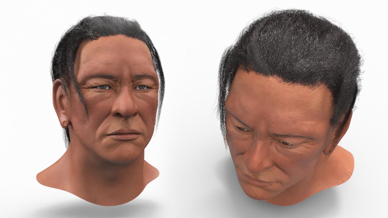 3D model American Indian Head