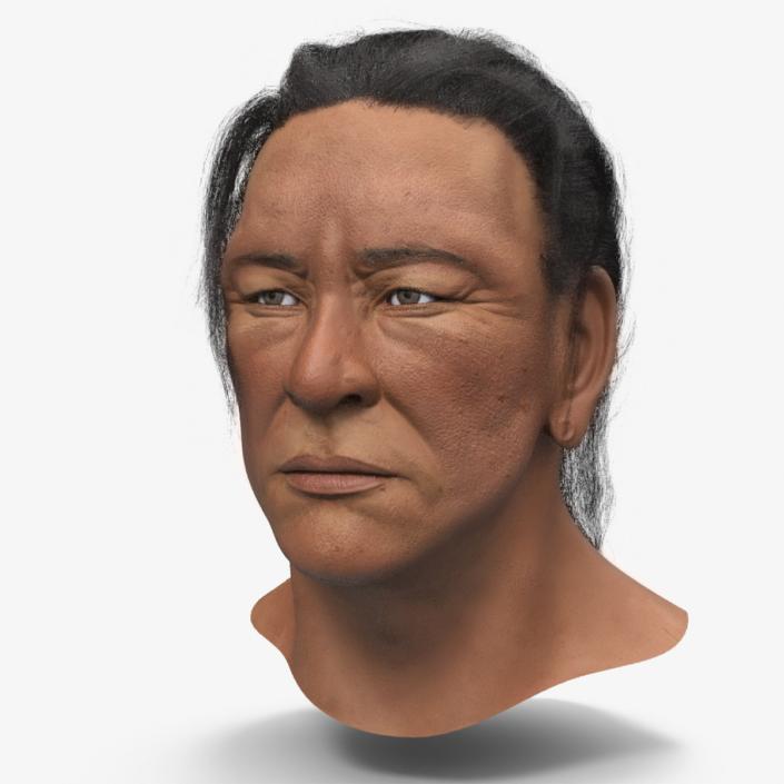 3D model American Indian Head