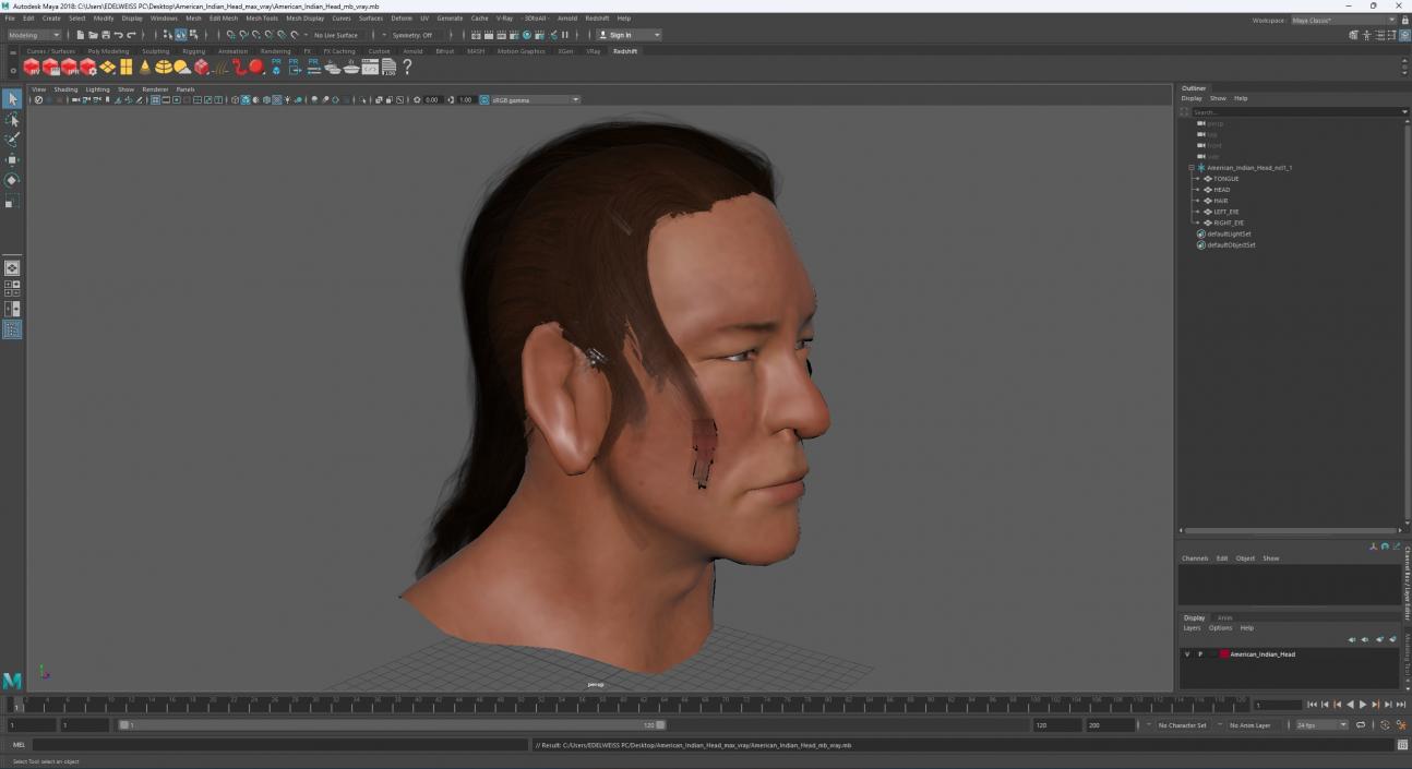 3D model American Indian Head