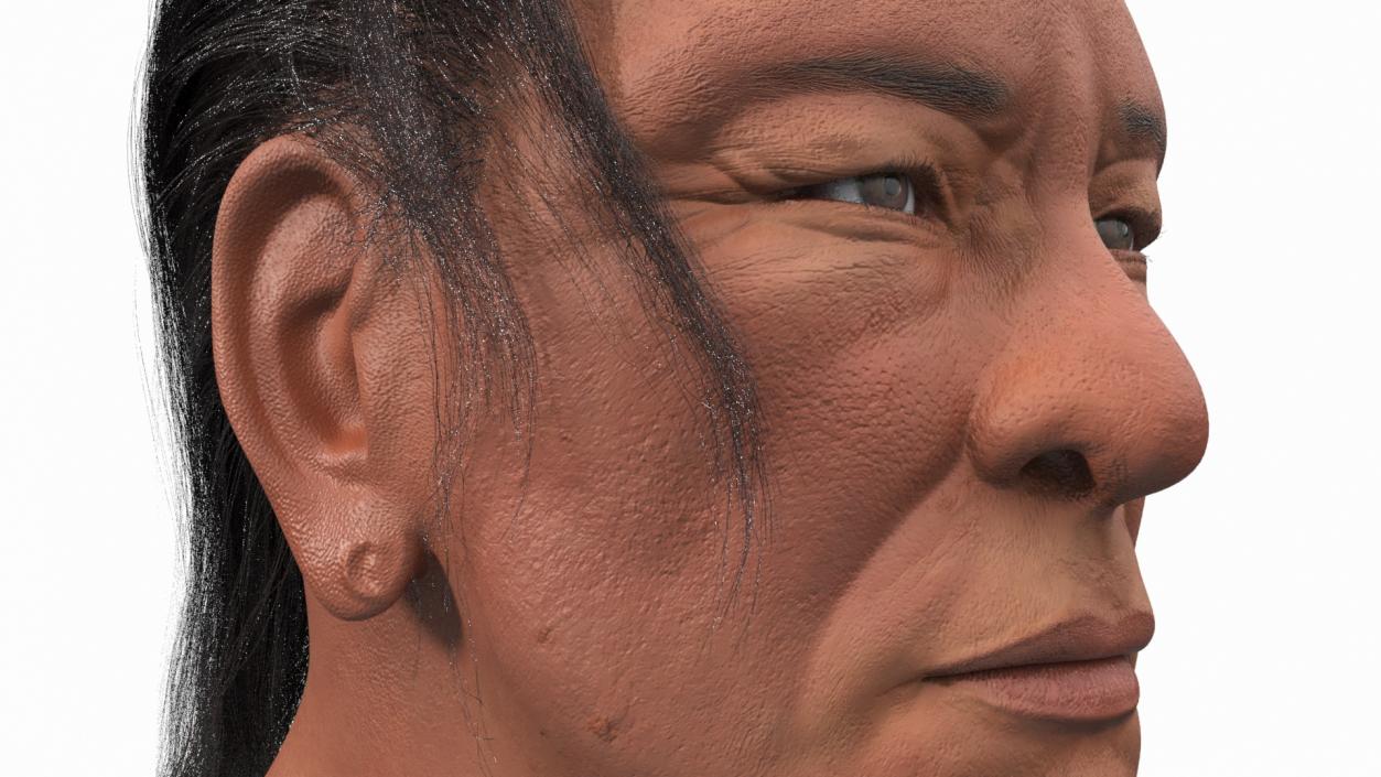 3D model American Indian Head