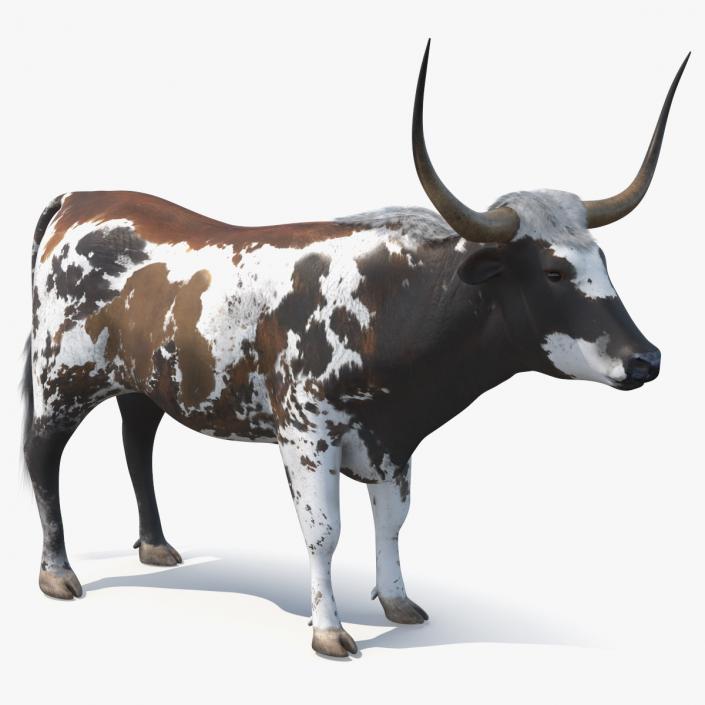 3D Texas Longhorn Mottled Brown model