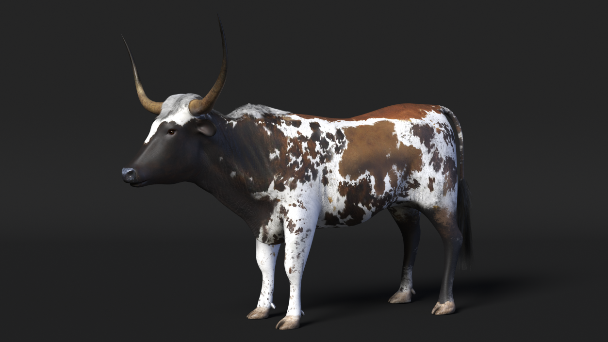 3D Texas Longhorn Mottled Brown model