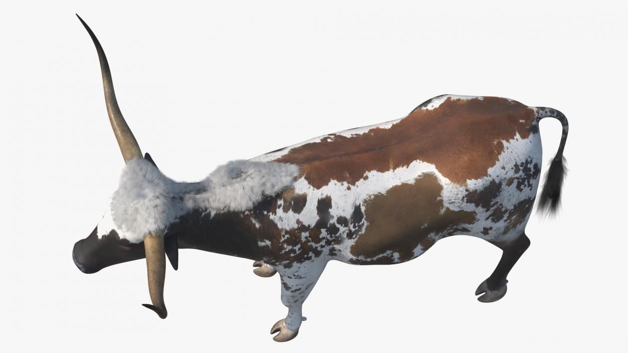 3D Texas Longhorn Mottled Brown model