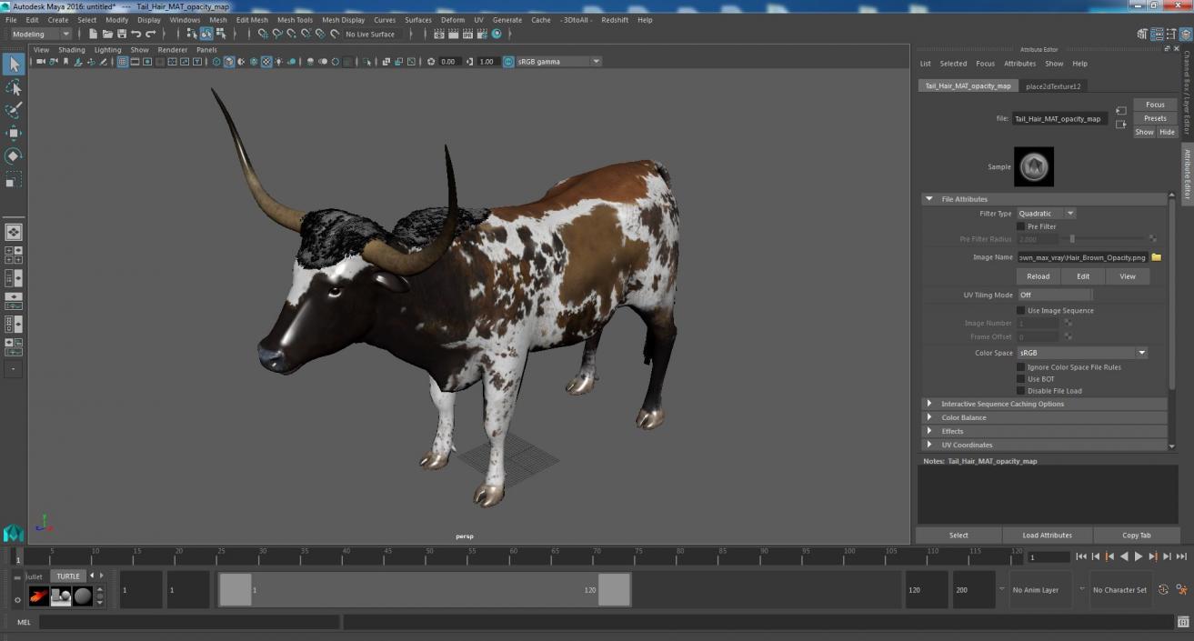 3D Texas Longhorn Mottled Brown model