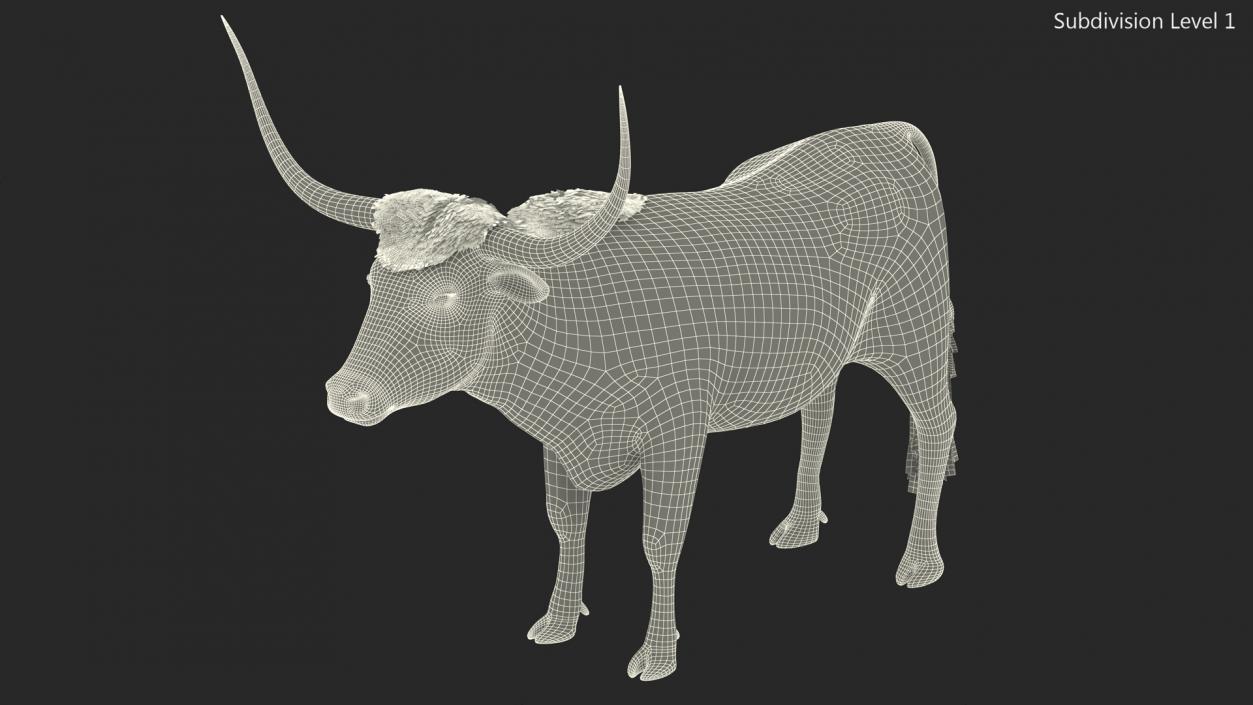 3D Texas Longhorn Mottled Brown model