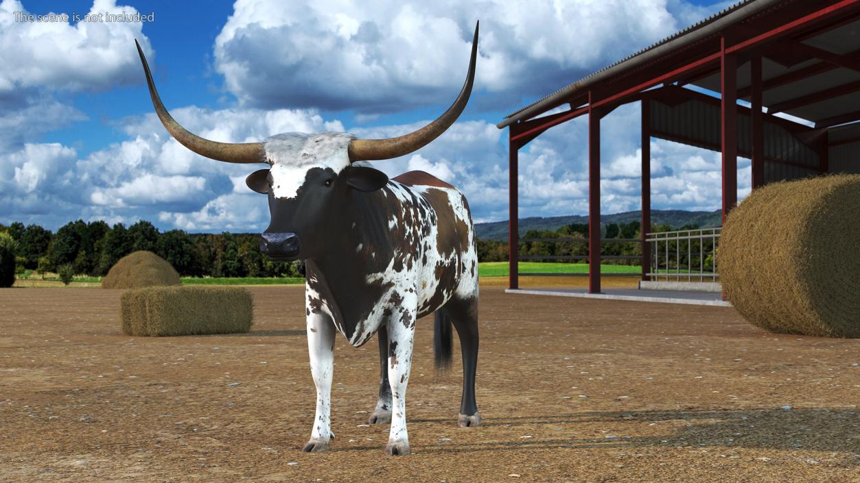 3D Texas Longhorn Mottled Brown model