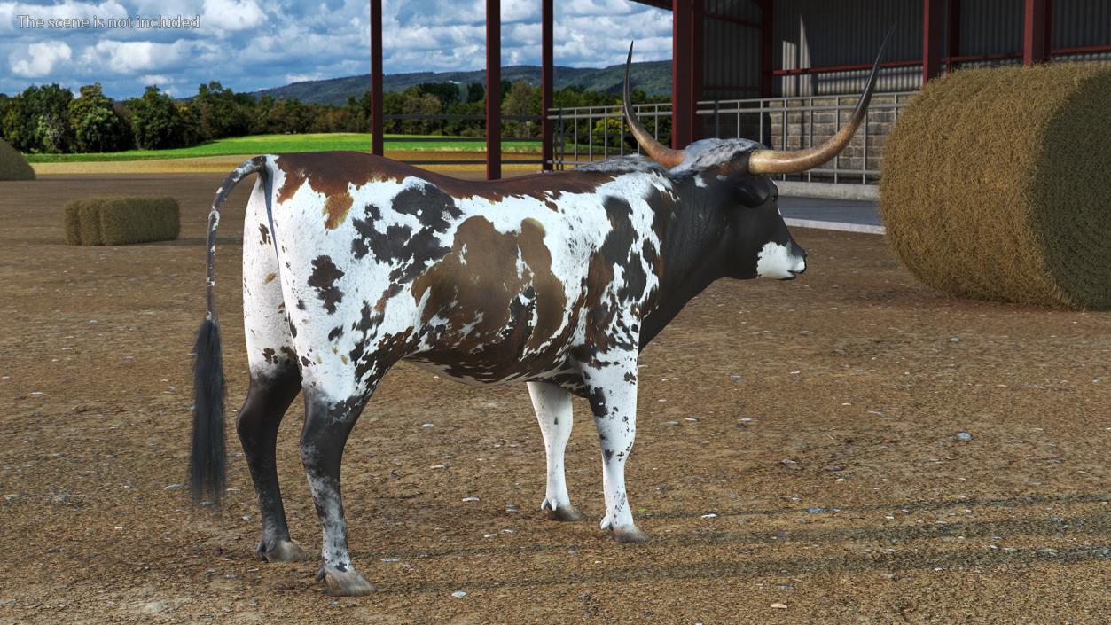 3D Texas Longhorn Mottled Brown model