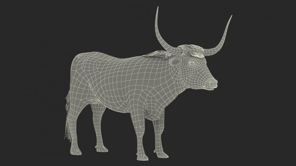 3D Texas Longhorn Mottled Brown model