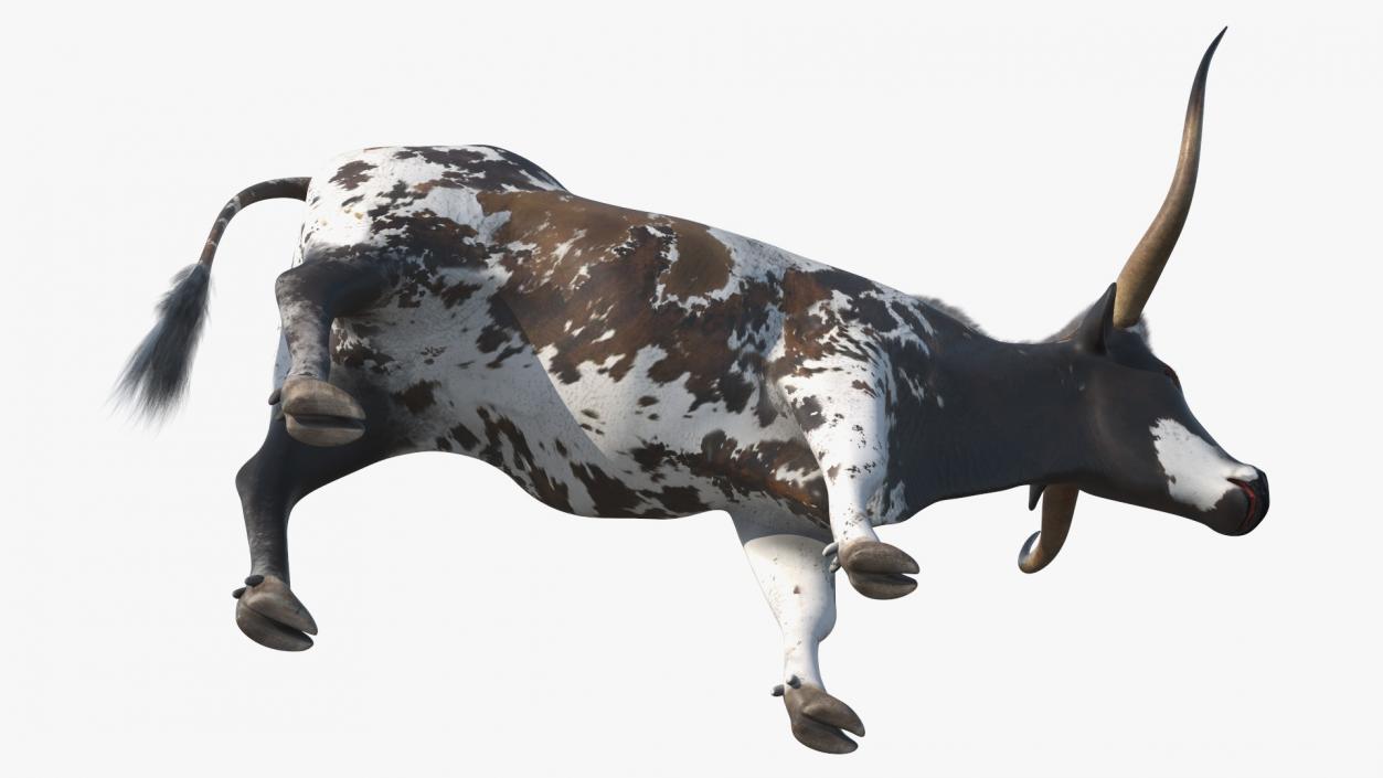 3D Texas Longhorn Mottled Brown model